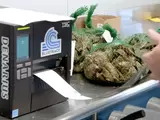 海產標籤解決方案：BlueTrace 如何實現效率與法規遵循